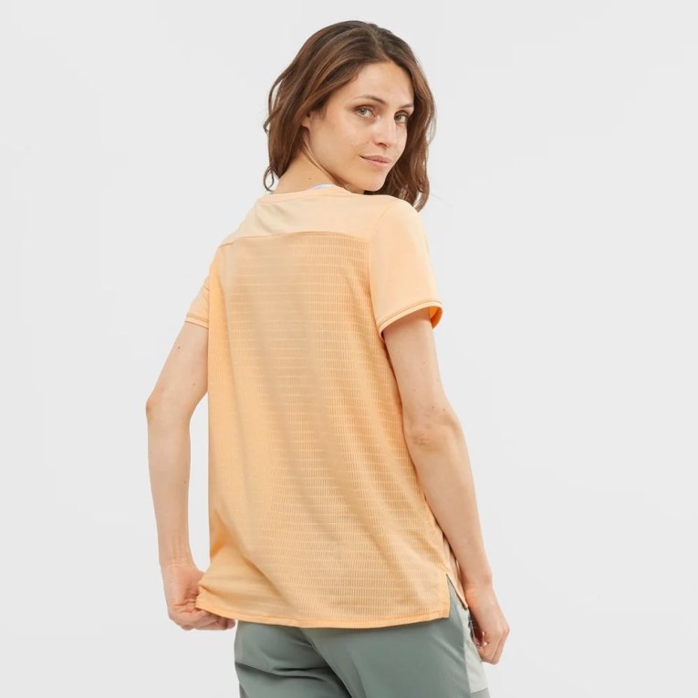 Apricot Salomon Outline Summer Short Sleeve Women's T-Shirts | PH 76425P